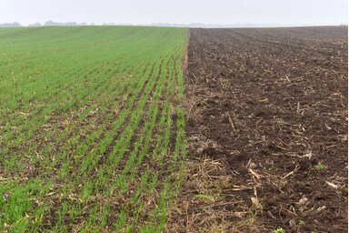 Fotó: Molnár Edvárd