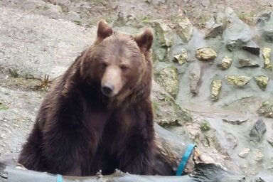 Képernyőkép/Facebook