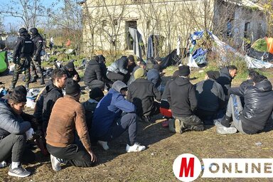 Illusztráció (Gergely József korábbi felvétele)