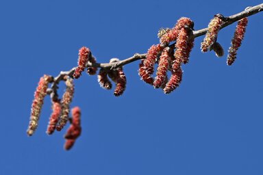 Fotó: Molnár Edvárd