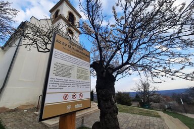 Györkő Zsombor felvétele