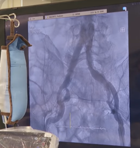 PrintScreen / Vajdasági RTV / YouTube