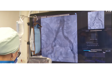 PrintScreen / Vajdasági RTV / YouTube