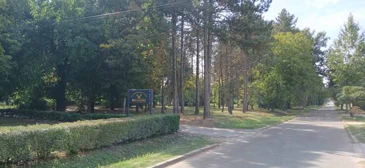 A mai Alsó park helyén egykor az Árpád liget terült el (Fotó: Szomszédok a szomszédokért/Facebook)