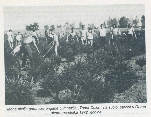 Munkaakció az Erdőtelepítők parkjában 1972-ben (Fotó: Szomszédok a szomszédokért/Facebook)