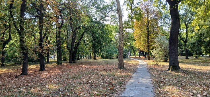 A Felső park tudatos urbanisztikai elképzelés részeként jött létre (Fotó: Szomszédok a szomszédokért/Facebook)