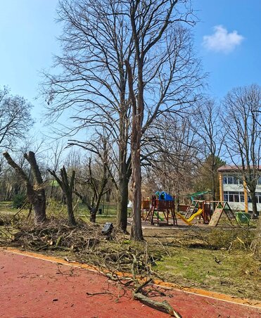 A gallyazás az iskolaudvarban a helyi közösség támogatásával valósult meg / Fotó: Moša Pijade Általános Iskola