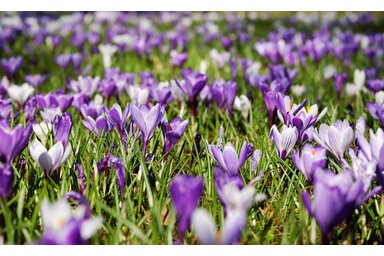 Illusztráció/Pixabay