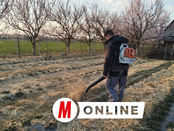 Ignác öccse a sorok közötti szalmát fújja szét (Fotó: Kancsár Izabella)