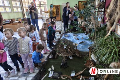 A Tisza menti ártéri erdő hangulata, valamint kitömött állatok költöztek a zentai Stevan Sremac Általános Iskola előcsarnokába (Fotó: Horváth Zsolt felvétele)