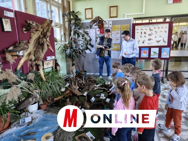 Horváth Zsolt felvétele