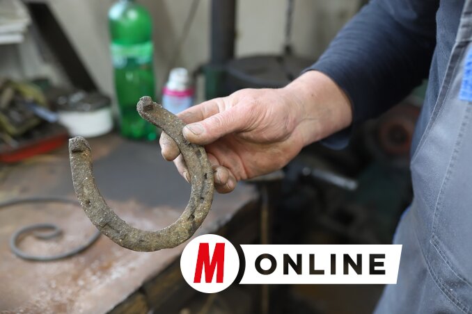 A patkó csak a jószerencséhez kell (Fotó: Lakatos János felvétele)