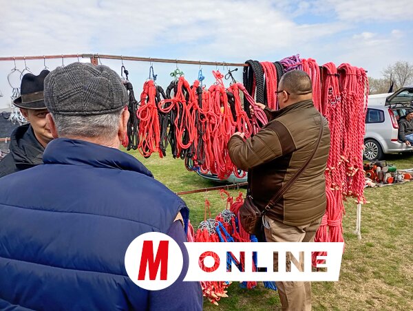 Az elmaradhatatlan köteles