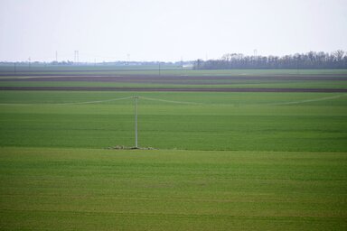 Fotó: Molnár Edvárd