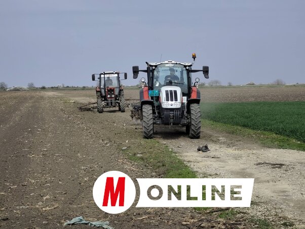 A rendezett utak segítik a határi munkálatokat (Fotó: Vidács Hajnalka felvétele)