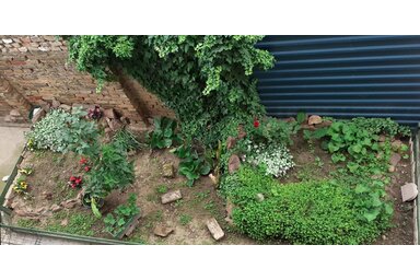 Mókus Klára felvétele