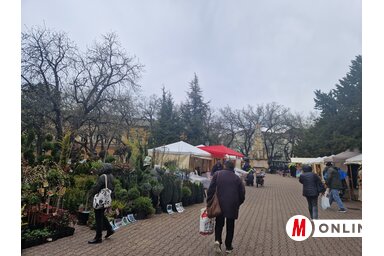 Bartus Bella felvétele