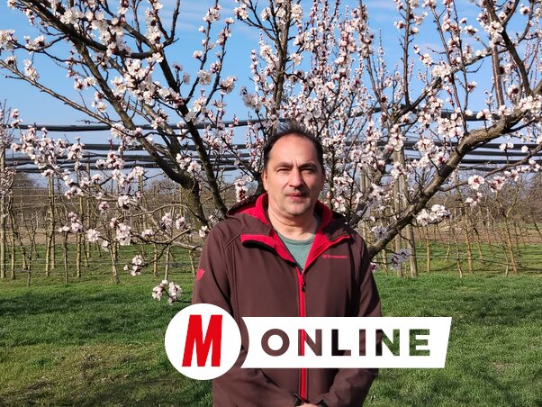 Fenyvesi Attila (Fotó: Tóth Péter felvétele)