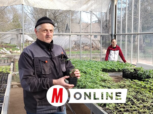 Pecze Tamás (Fotó: Tóth Péter felvétele)