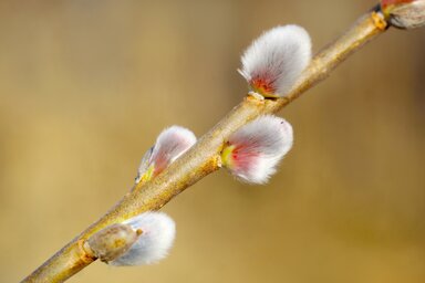 Illusztráció/Pixabay