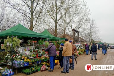 Célirányosan vásároltak