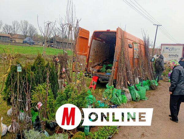 A faültetés ideje következik