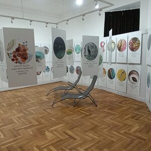 Fotó: Palóc Múzeum honlapja