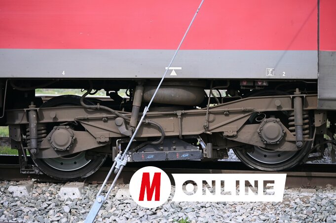 Molnár Edvárd felvétele