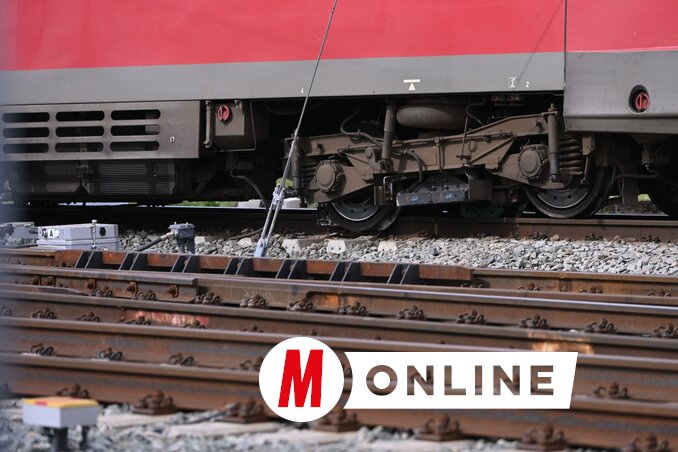 Molnár Edvárd felvétele