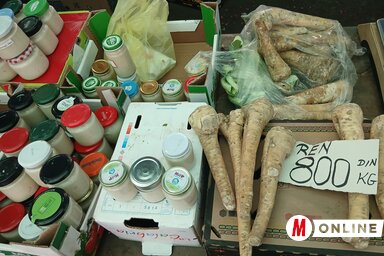 Kolovity Edina felvétele