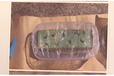 PrintScreen/RTS/YouTube