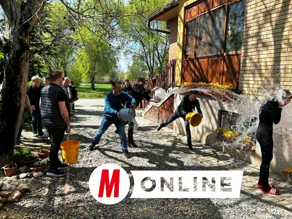 Tóth Péter felvétele