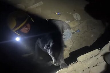 Képernyőkép/Instagram/193ns_rs