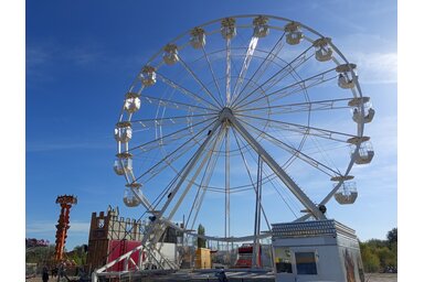 Fotó: Benedek Miklós