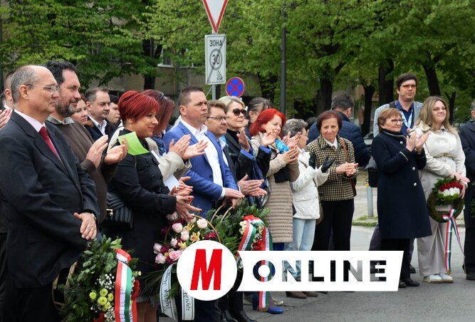 Dávid Csilla felvétele