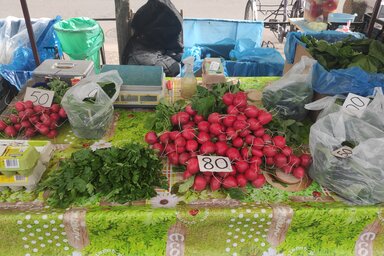 Fotó: Horváth Attila