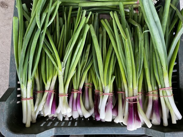 Szinte érezni az illatát (Fotó: Csikós Árpád archívuma)