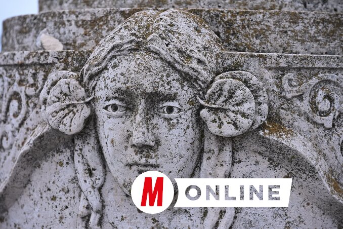 Molnár Edvárd felvétele