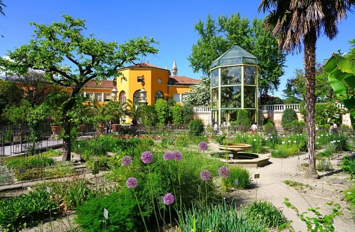 481 éve élnek itt növények