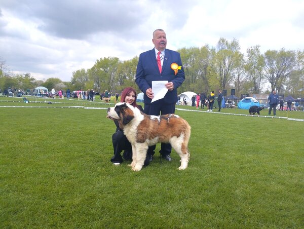 Pekality Nikoletta a fiatal bernáthegyi kutyával – mögötte Orcsik István (Fotó: Paraczky László)