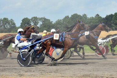 Gergely Árpád, Halász József Lovasklub, Ada / Facebook