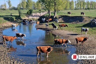 Gergely József felvétele