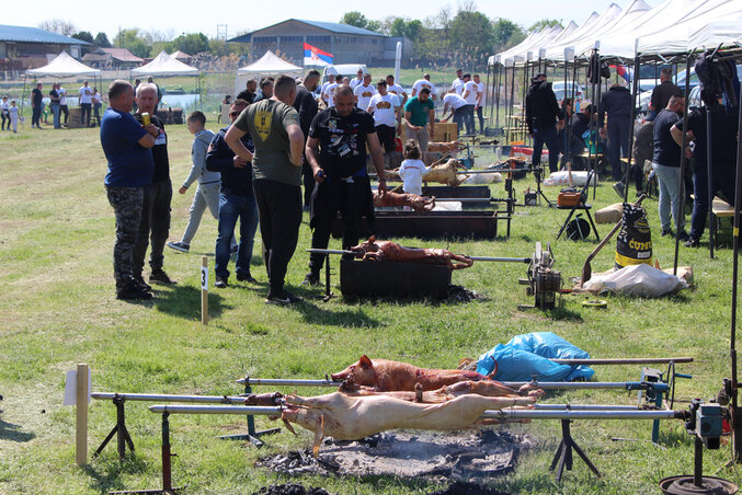 Negyvenhárom nyárson sültek a malacok