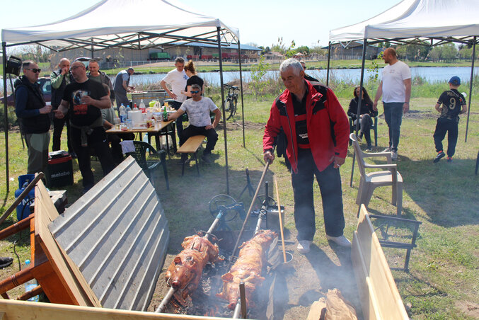 Két csapat egyszerre süti a malacot