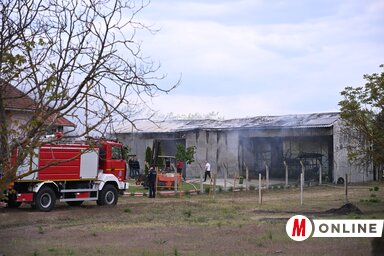 Molnár Edvárd felvétele