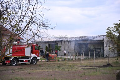 Molnár Edvárd felvétele