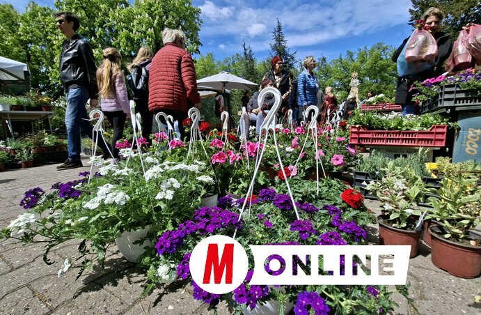 Molnár Edvárd felvétele