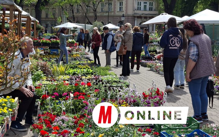 Molnár Edvárd felvétele