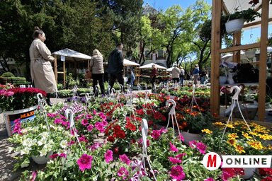 A Garden flora kiállítás április 26-ig, vasárnapig látogatható (Fotó: Molnár Edvárd felvétele)