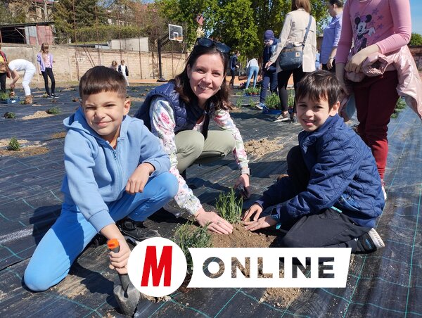 Az 1.c osztály tanulói Kovács Franciska tanítónő vezetésével kapcsolódtak be az ültetésbe (Fotó: Kancsár Izabella felvétele)